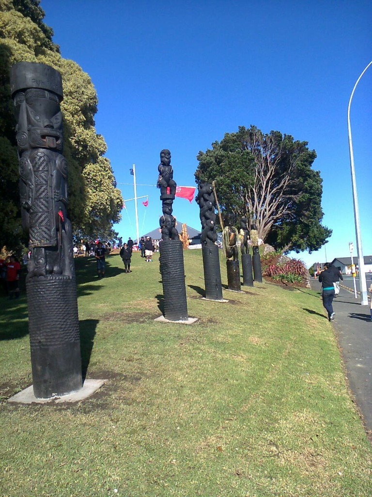 Battle of Pukehinahina - Gate Pa.  Photo: Rosemary Balu