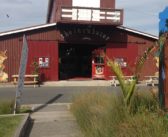 Show us Your Deck: skateboard art at The Incubator Gallery