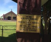 Tomorrow around Tauranga